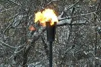 Факел садовый январь 2012 (197221) производство ø 65 мм. ветроустойчивая  в Советске Калининградской области