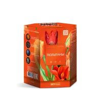 Фейерверк Тюльпаны 19. Купить Фейерверк Тюльпаны 19 Z1050 — магазин продажа салютов недорого —  Советск Калининградская область, производитель Русский фейерверк - Русская пиротехника, доставка по России  +7 963 711 89 03 — Советск Калининградская область | sovetskkaliningradskaya.piroclub.ru